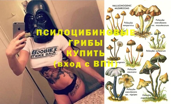 ешки Волоколамск