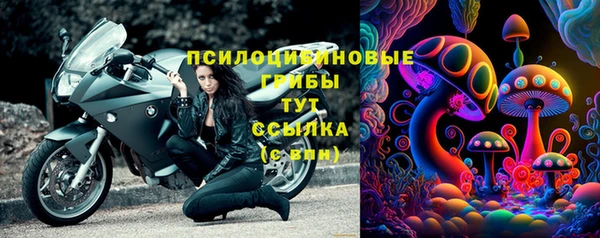 мдпв Володарск