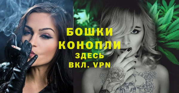мдпв Володарск