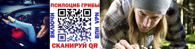 Галлюциногенные грибы GOLDEN TEACHER  shop наркотические препараты  Шелехов 